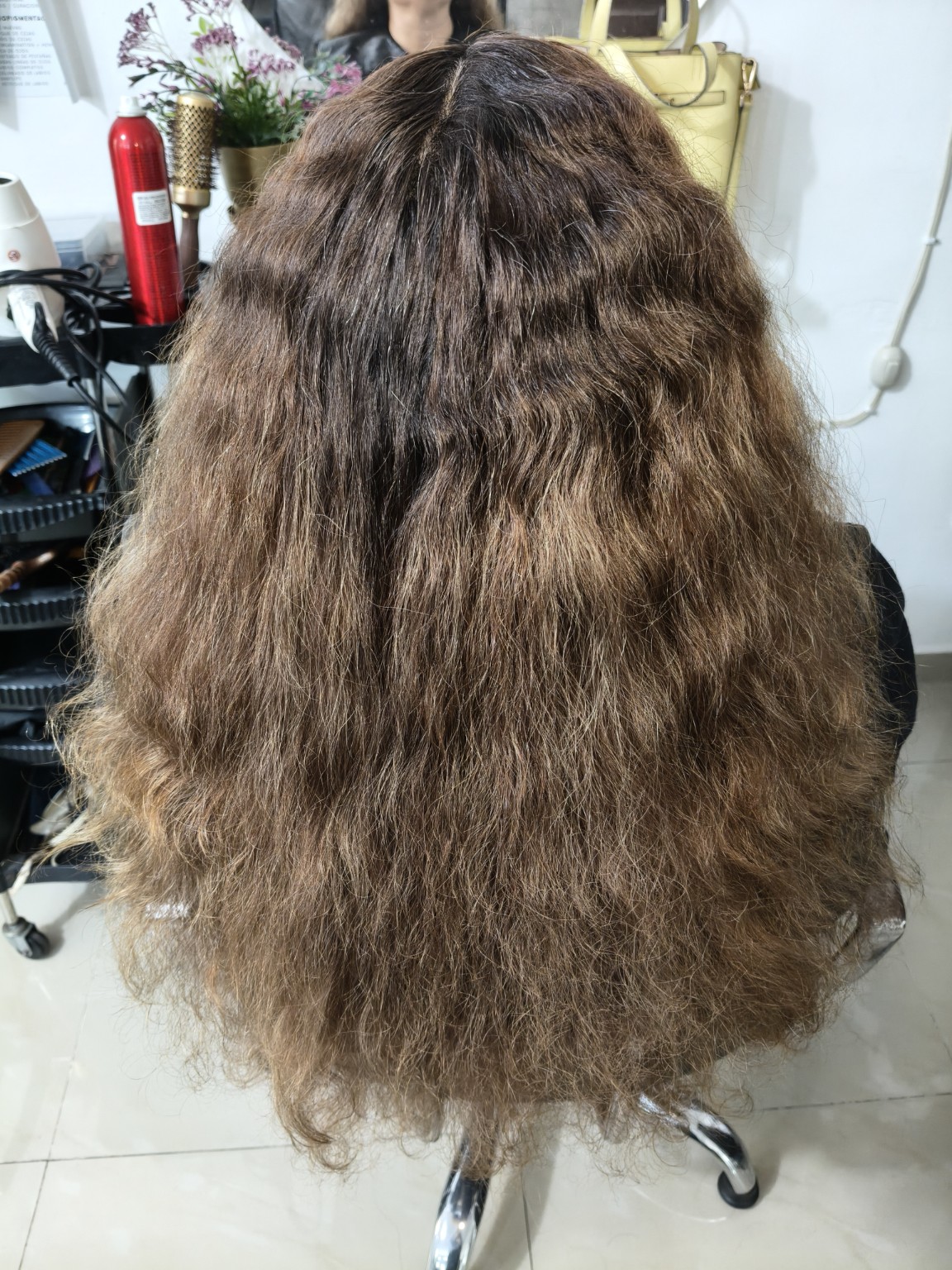 Antes del servicio de color: cabello castaño largo, visto desde atrás